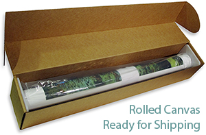 rolled canvas ready to ship