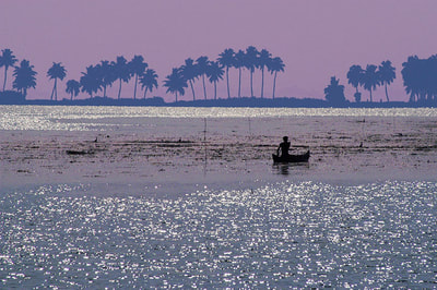 "Sunset, Kerala Backwaters", South India