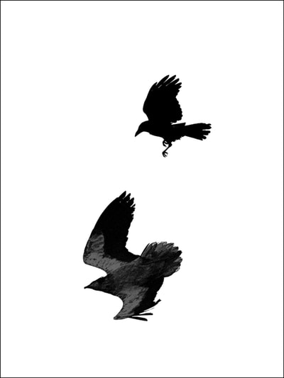 "Calligraphy of Birds, Vol.1, no.1", Raven & Egyptian Vulture