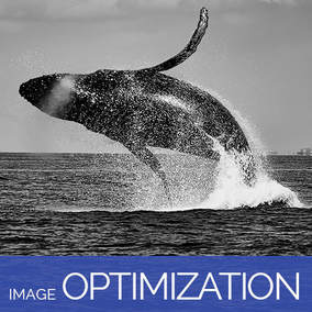 Pricing: Image Optimization