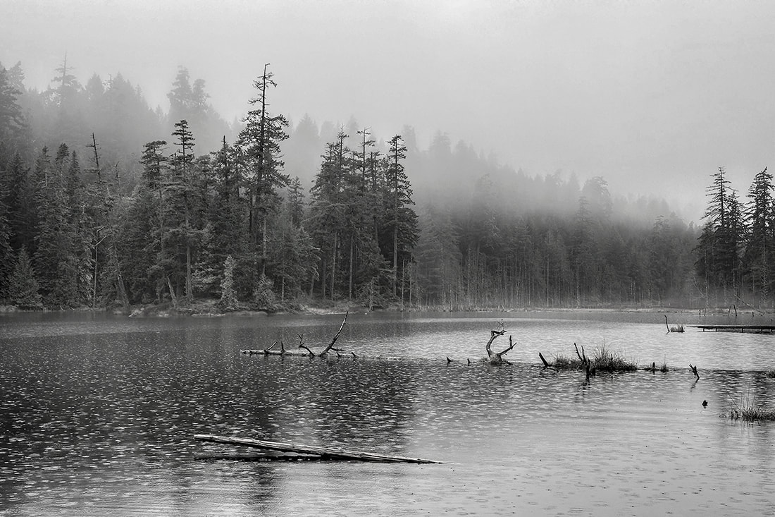 Mist & Rain, Graham Lake, December '23