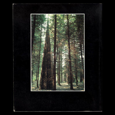 "Seven Spires", Andy Goldsworthy, 1984, Grizedale, back cover of "A Sense of Place"
