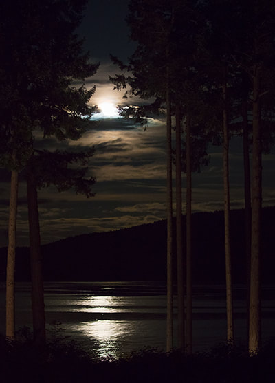 "Moonlight on the Water, Headlights on the Firs", Front Deck, Denman Island, BC