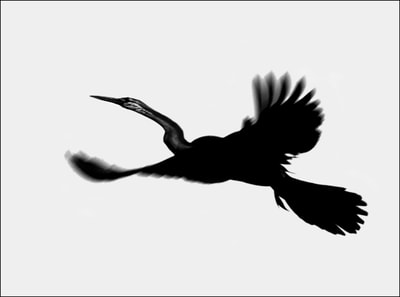 "Calligraphy of Birds, Vol.1, no.3", Darter, aka "Snake Bird"